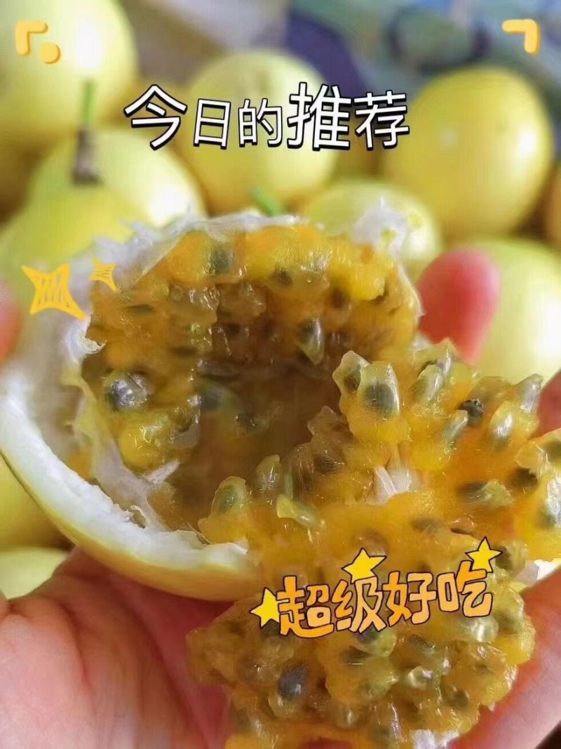钦蜜9号黄金百香果诚招各地经销商、批发商、电商伙伴