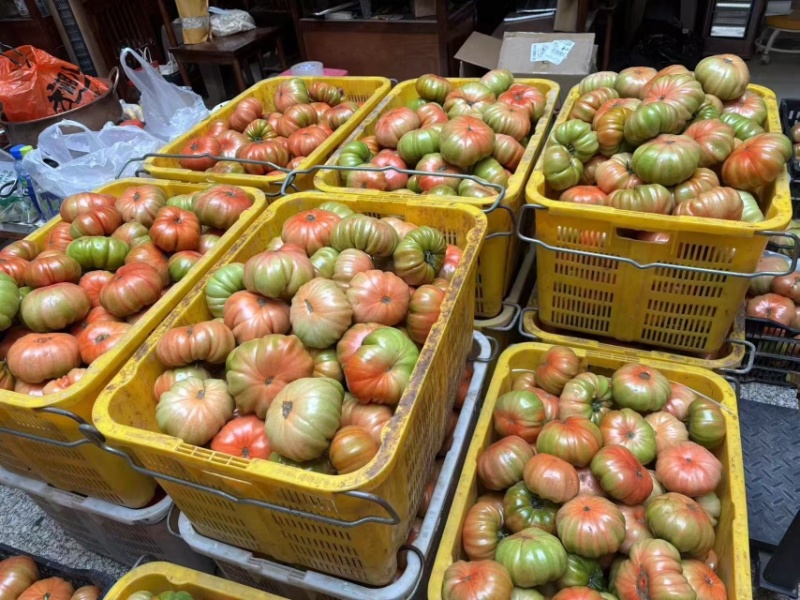1840马蹄番茄