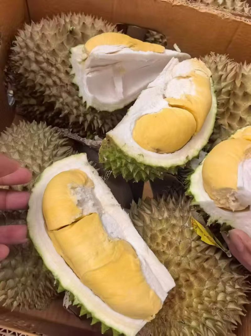 品种齐全，质量稳定有保证