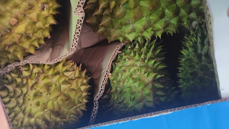 品种齐全，质量稳定有保证