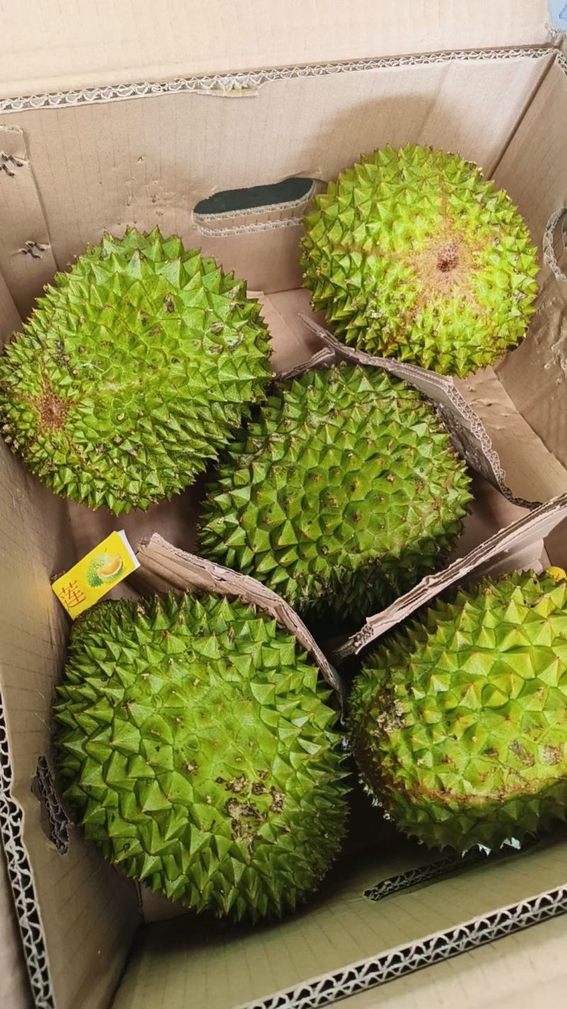 品种齐全，质量稳定有保证