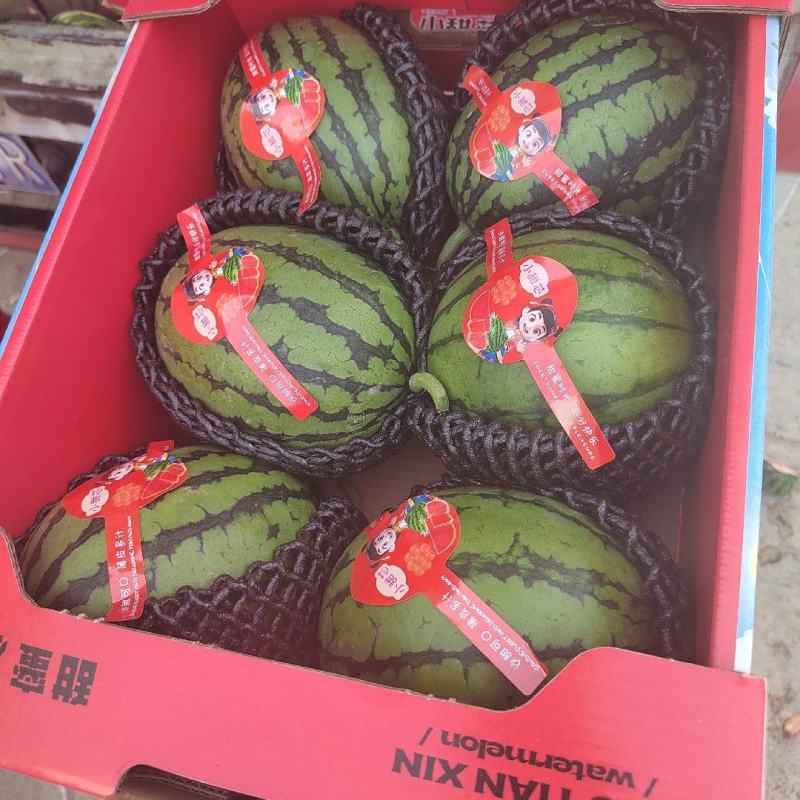 小糖丸西瓜