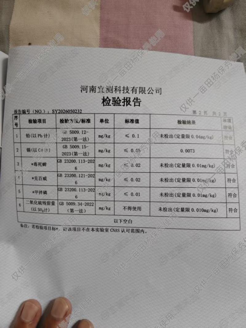 【精品】花生芽基地直供一手货对接市场档口商超电商品质保证