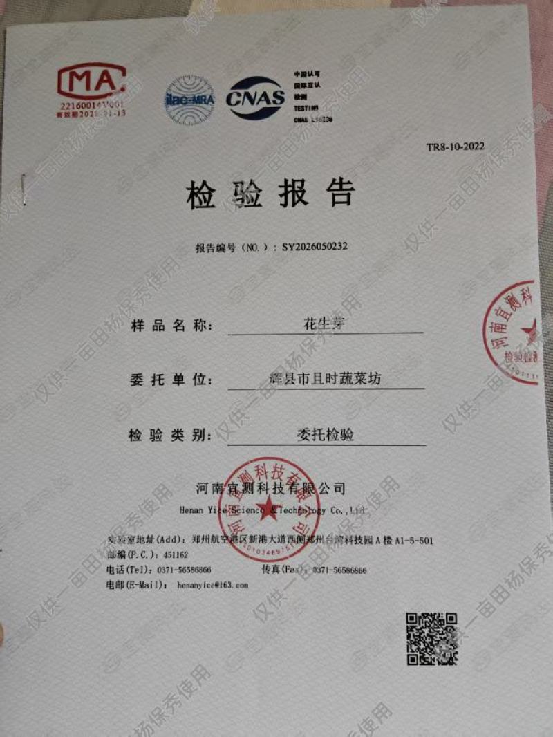 【精品】花生芽基地直供一手货对接市场档口商超电商品质保证