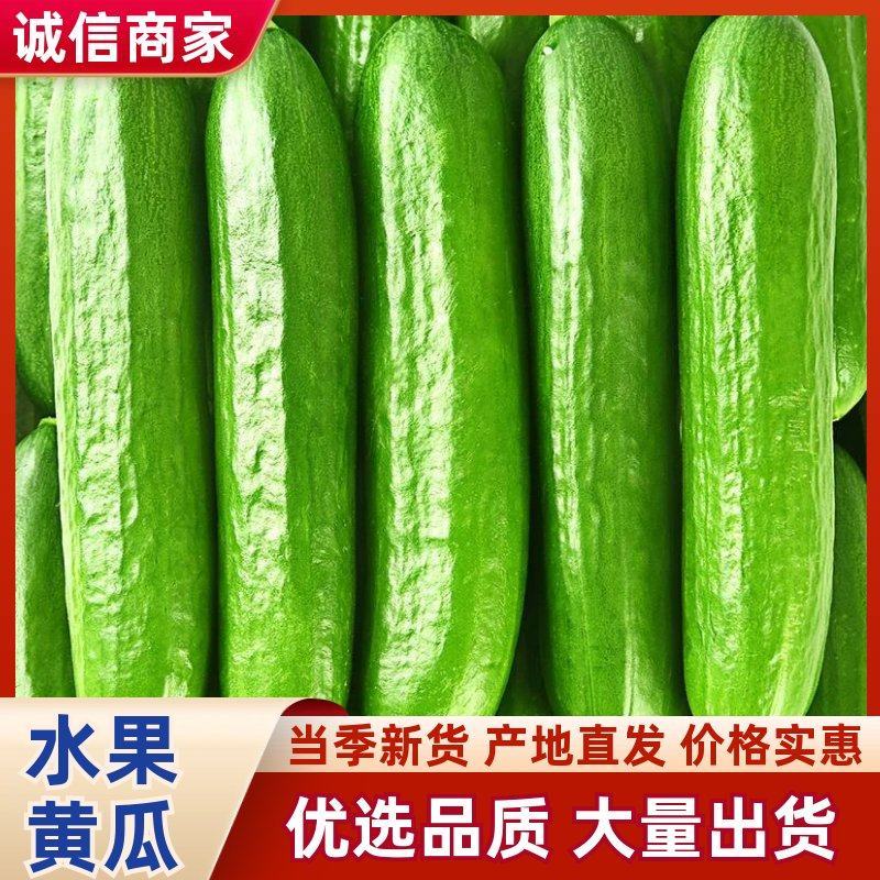水果黄瓜，优质货源，品质保障，量大从优