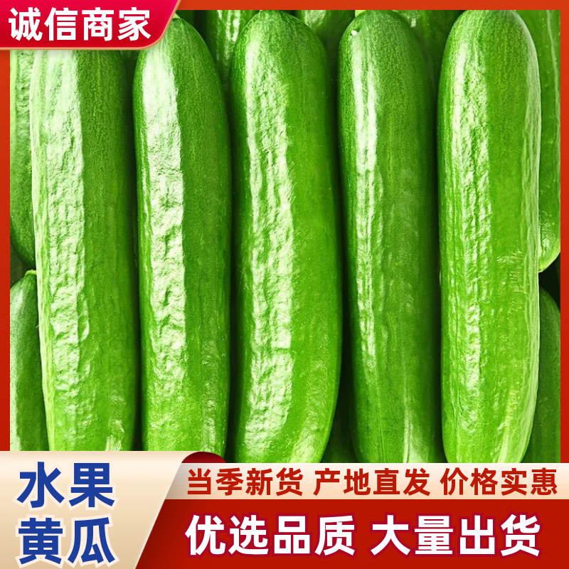 『现摘现发』精选水果小黄瓜清脆爽口产地一手货源