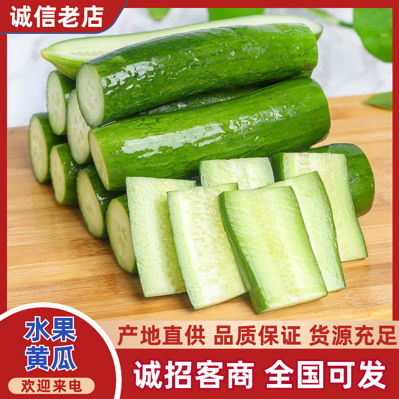 『现摘现发』精选水果小黄瓜清脆爽口产地一手货源