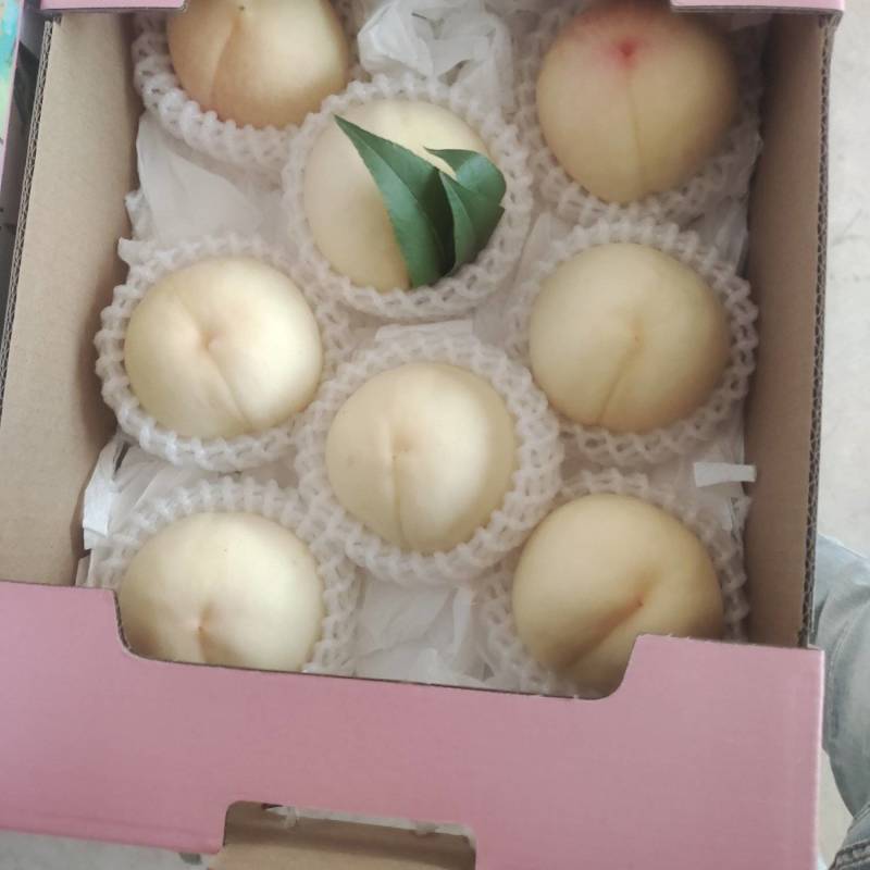 白凤水蜜桃白桃突围水蜜桃桃袋桃红桃