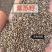 紫苏子中药材自然晾晒手工挑选颗粒饱满正品无硫