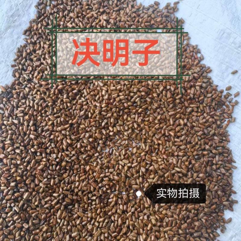 决明子正品炒熟决明子大粒产地直销诚信经营中药材