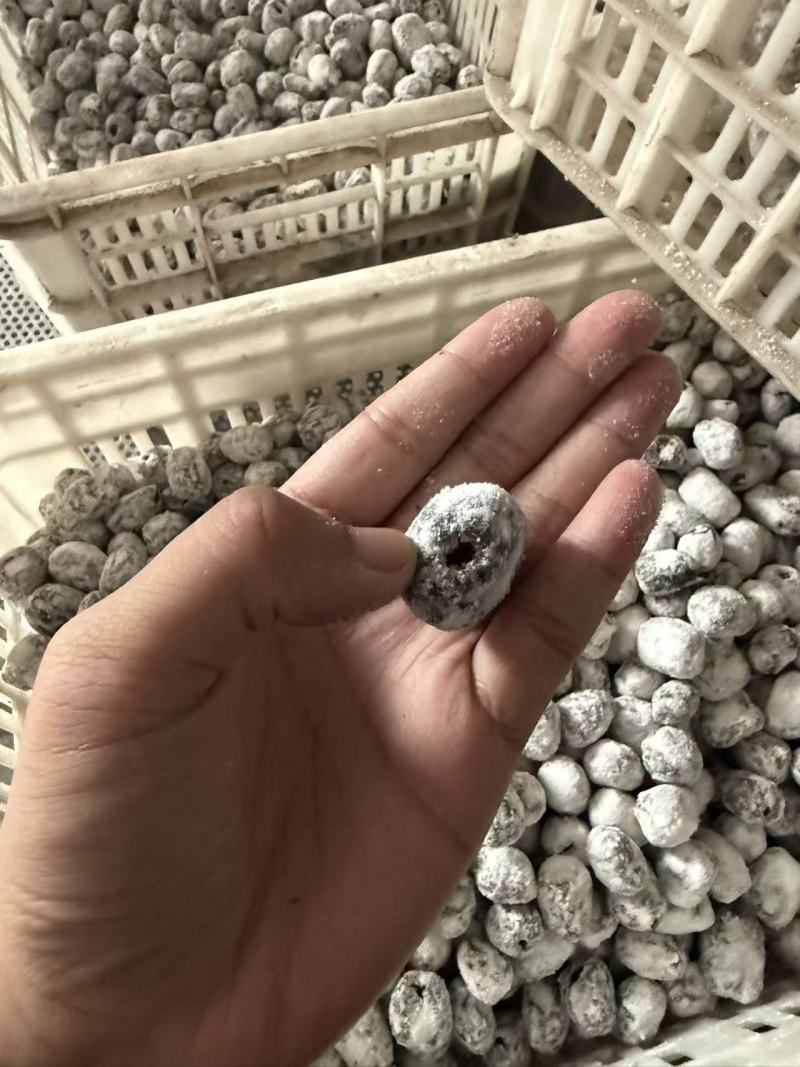 野味酸枣，产地直销，量大从优，欢迎老板视频发货。