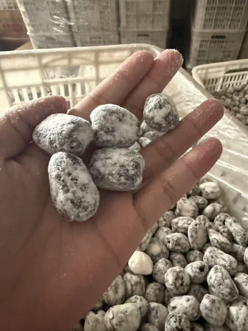 野味酸枣，产地直销，量大从优，欢迎老板视频发货。
