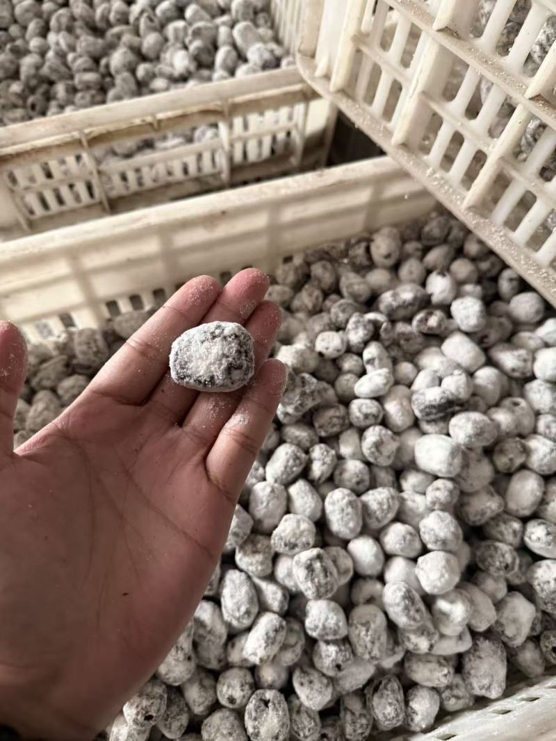 野味酸枣，产地直销，量大从优，欢迎老板视频发货。