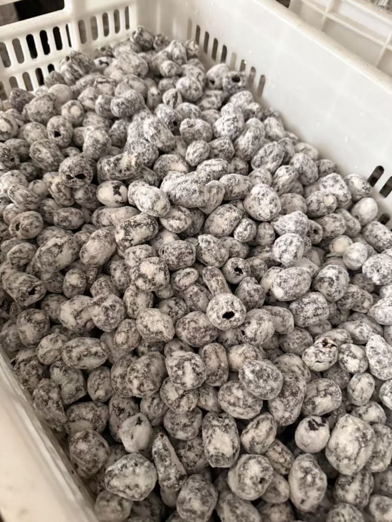 野味酸枣，产地直销，量大从优，欢迎老板视频发货。