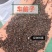 车前子正品车前子中药材合作共赢诚信经营诚信