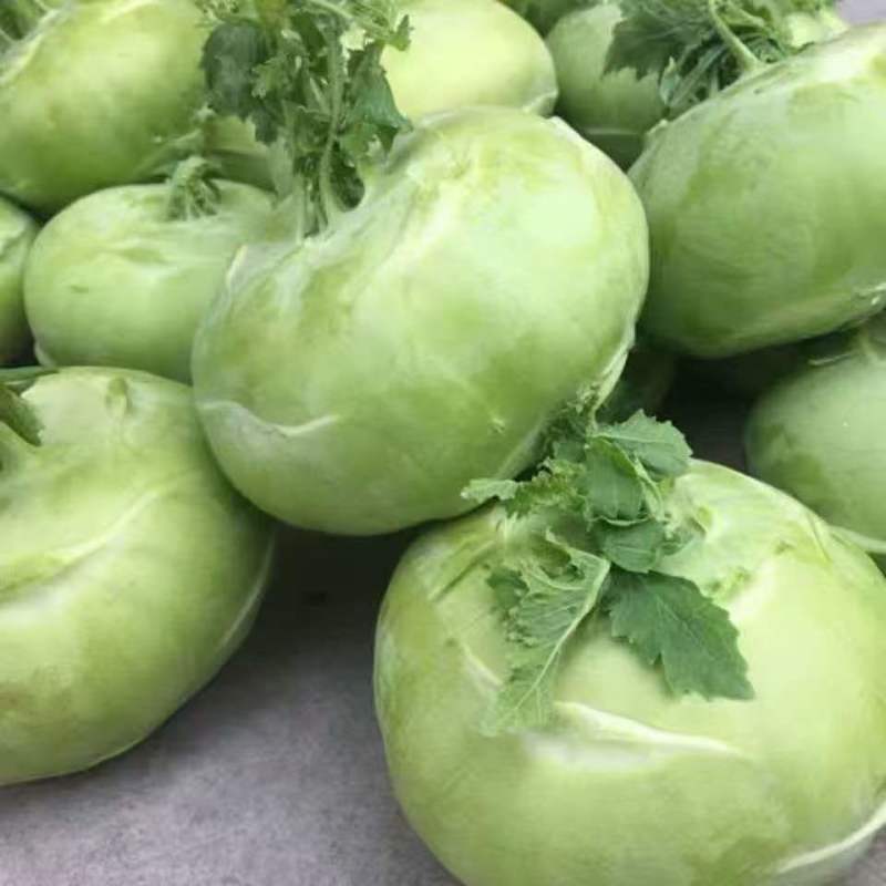 山西吕梁苤蓝水果苤蓝基地直供量大从优欢迎联系
