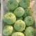 山西吕梁苤蓝水果苤蓝基地直供量大从优欢迎联系