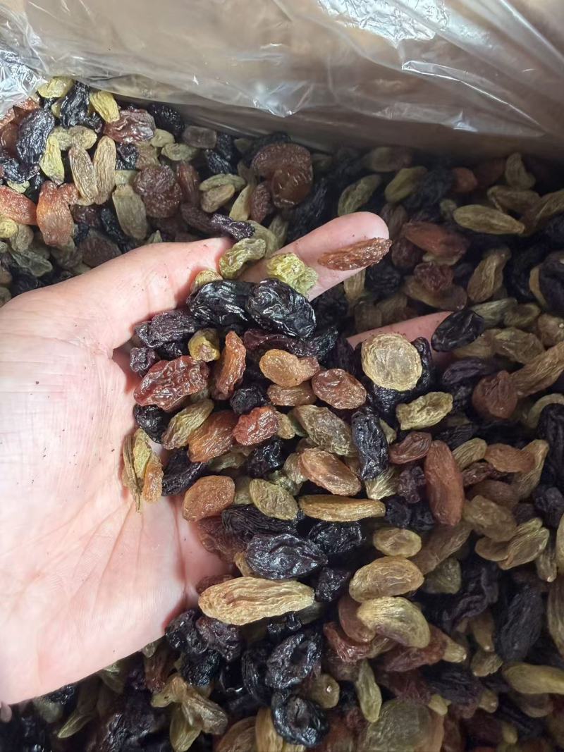 四色葡萄干，工厂直发，产地直销，量大从优，欢迎老板视频看