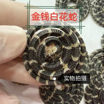 白花蛇中药材金钱白花蛇正品金钱百小花蛇干中药材
