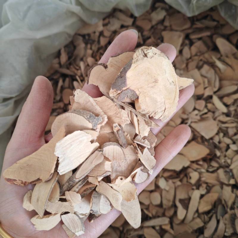 茶树根