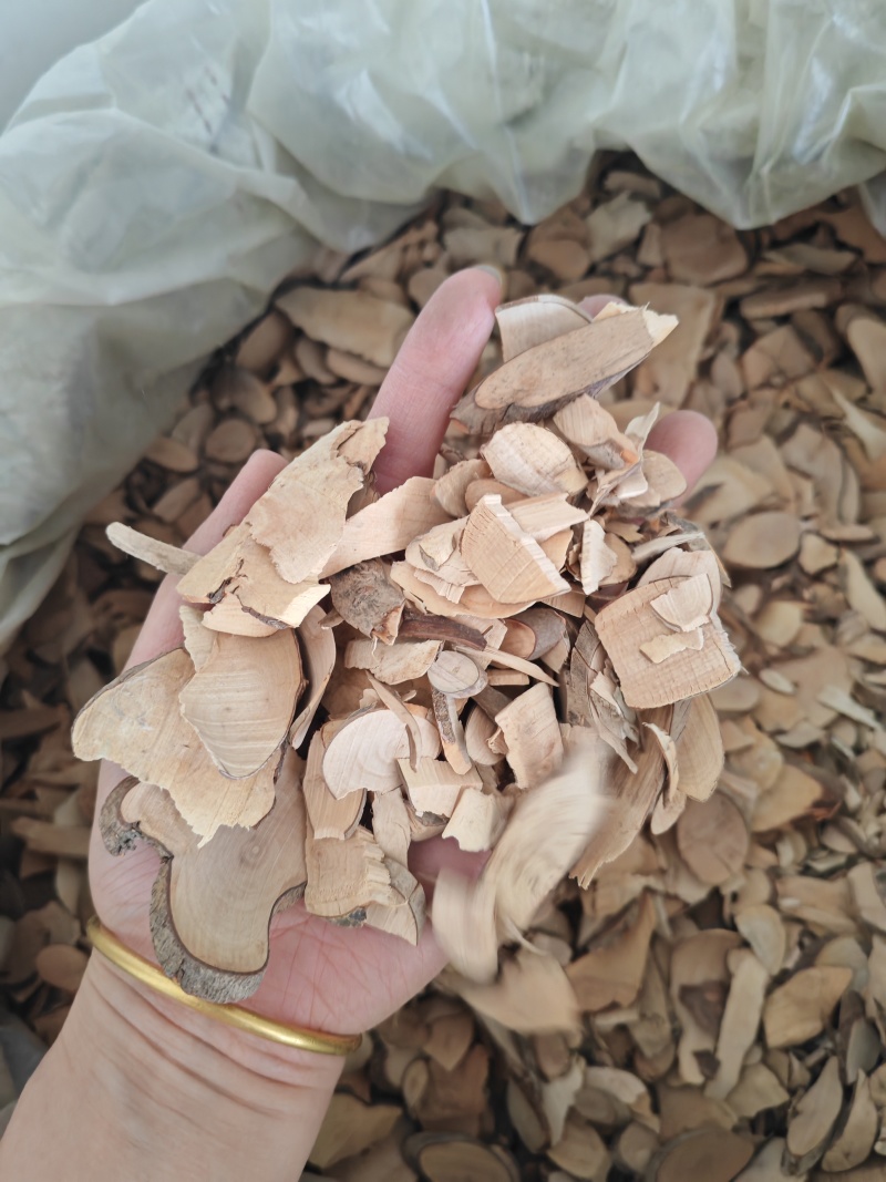 茶树根