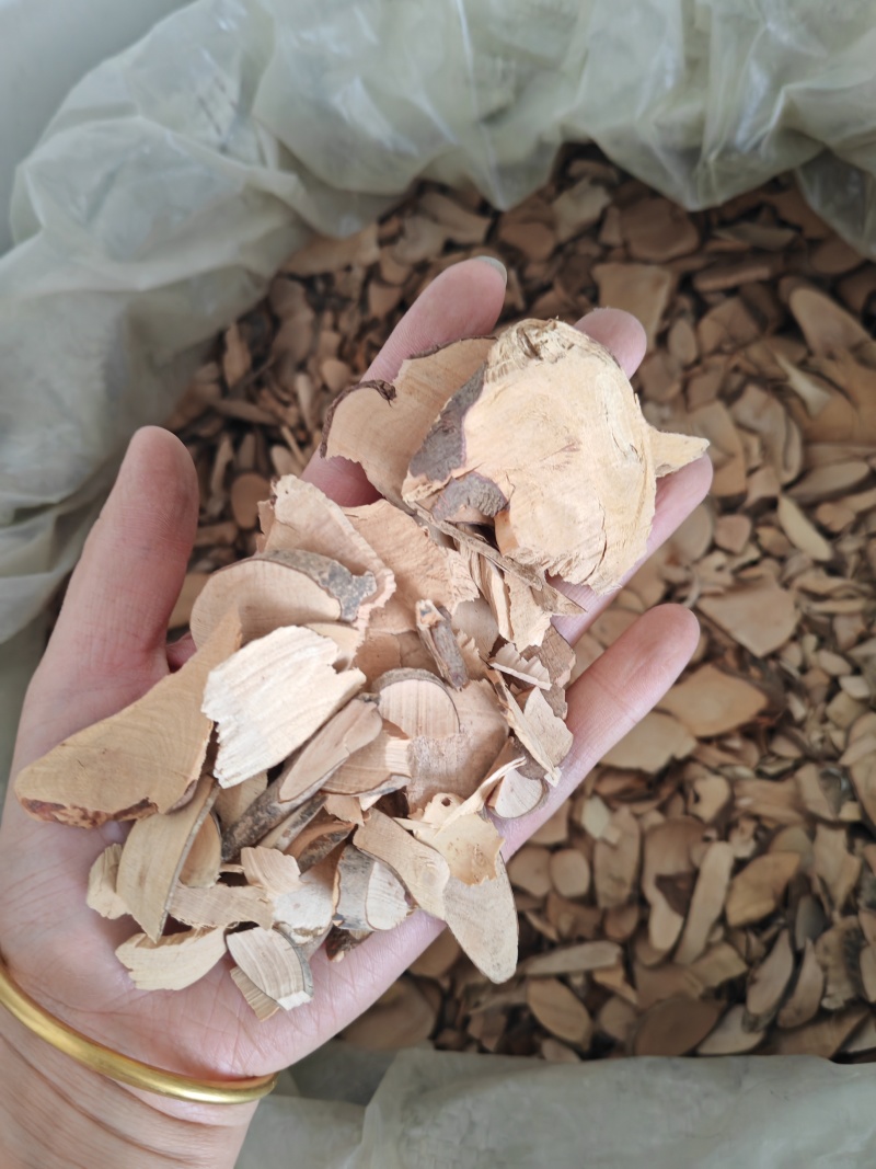 茶树根