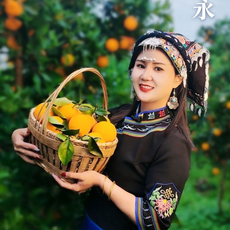 精品夏橙橙子湖北夏橙湖北秭归夏橙大量上市可视频看
