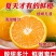 精品夏橙橙子湖北夏橙湖北秭归夏橙大量上市可视频看