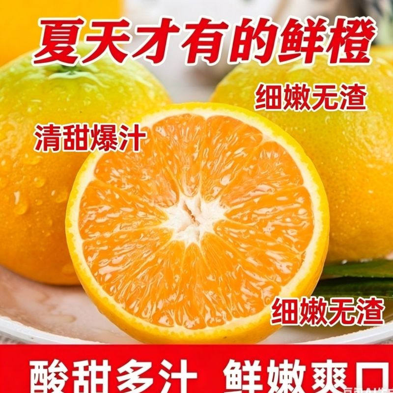 精品夏橙橙子湖北夏橙湖北秭归夏橙大量上市可视频看