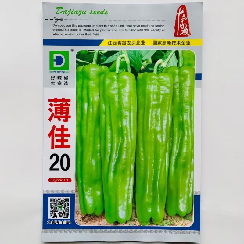 大家族薄佳20辣椒种子早熟黄绿皮大果薄皮泡椒种子皮薄辣椒