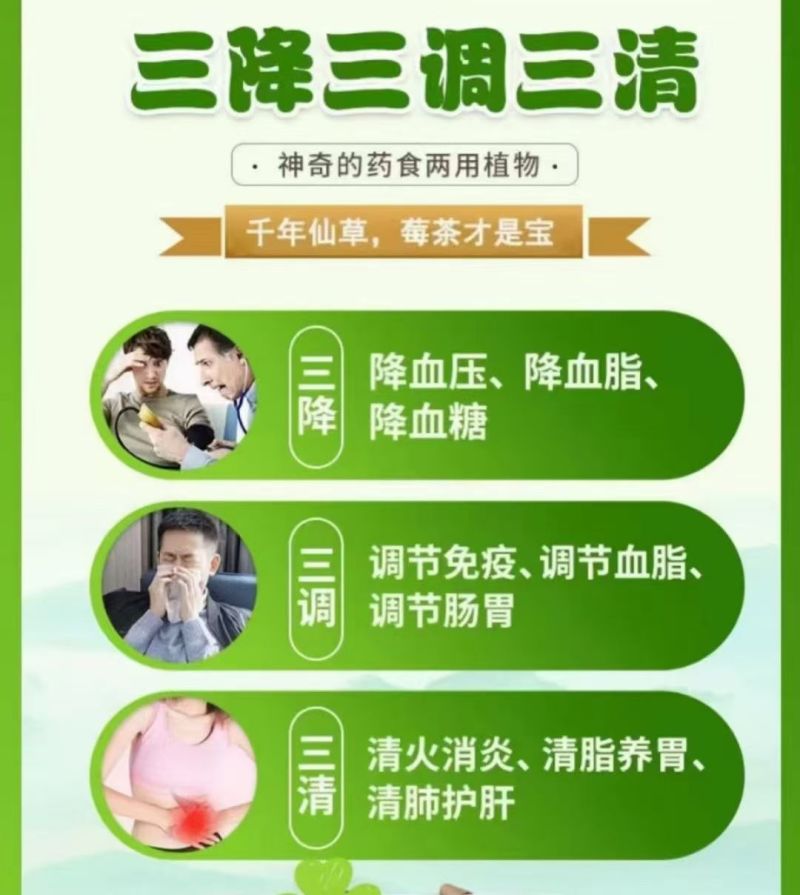 张家界芽尖莓茶