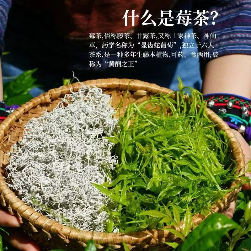 张家界芽尖莓茶