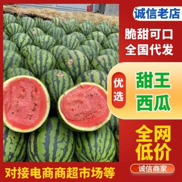 全国发货！对接商超！电商平台！甜王、麒麟、小吊瓜上市中！