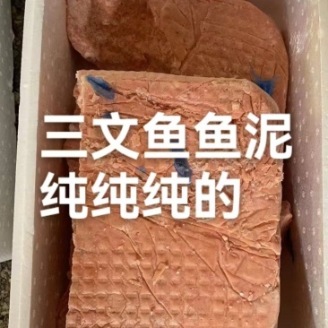 大西洋三文鱼鱼泥鱼糜鲑鱼宠物食品工厂直发