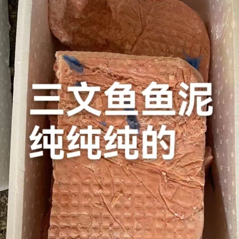 大西洋三文鱼鱼泥鱼糜鲑鱼宠物食品工厂直发