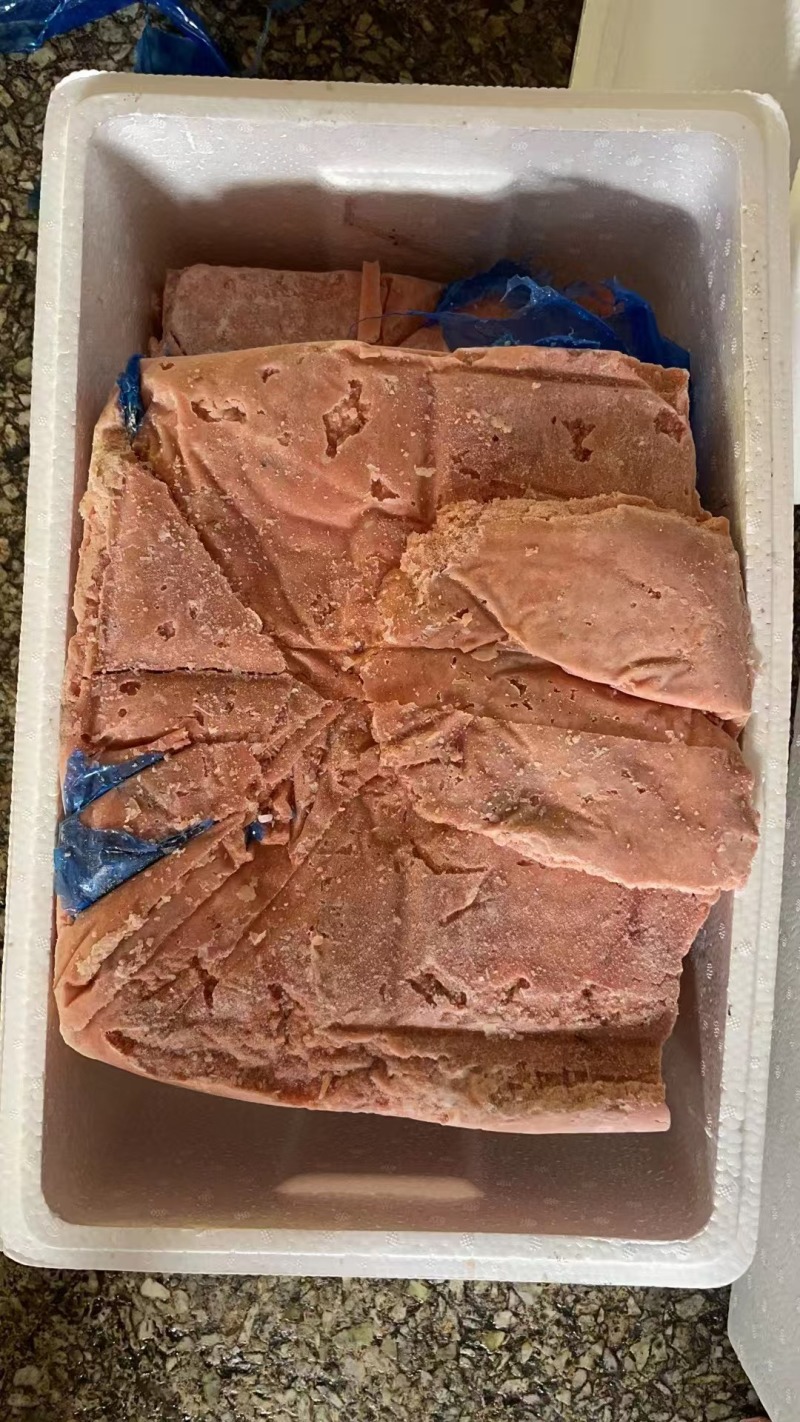 大西洋三文鱼鱼泥鱼糜鲑鱼宠物食品工厂直发