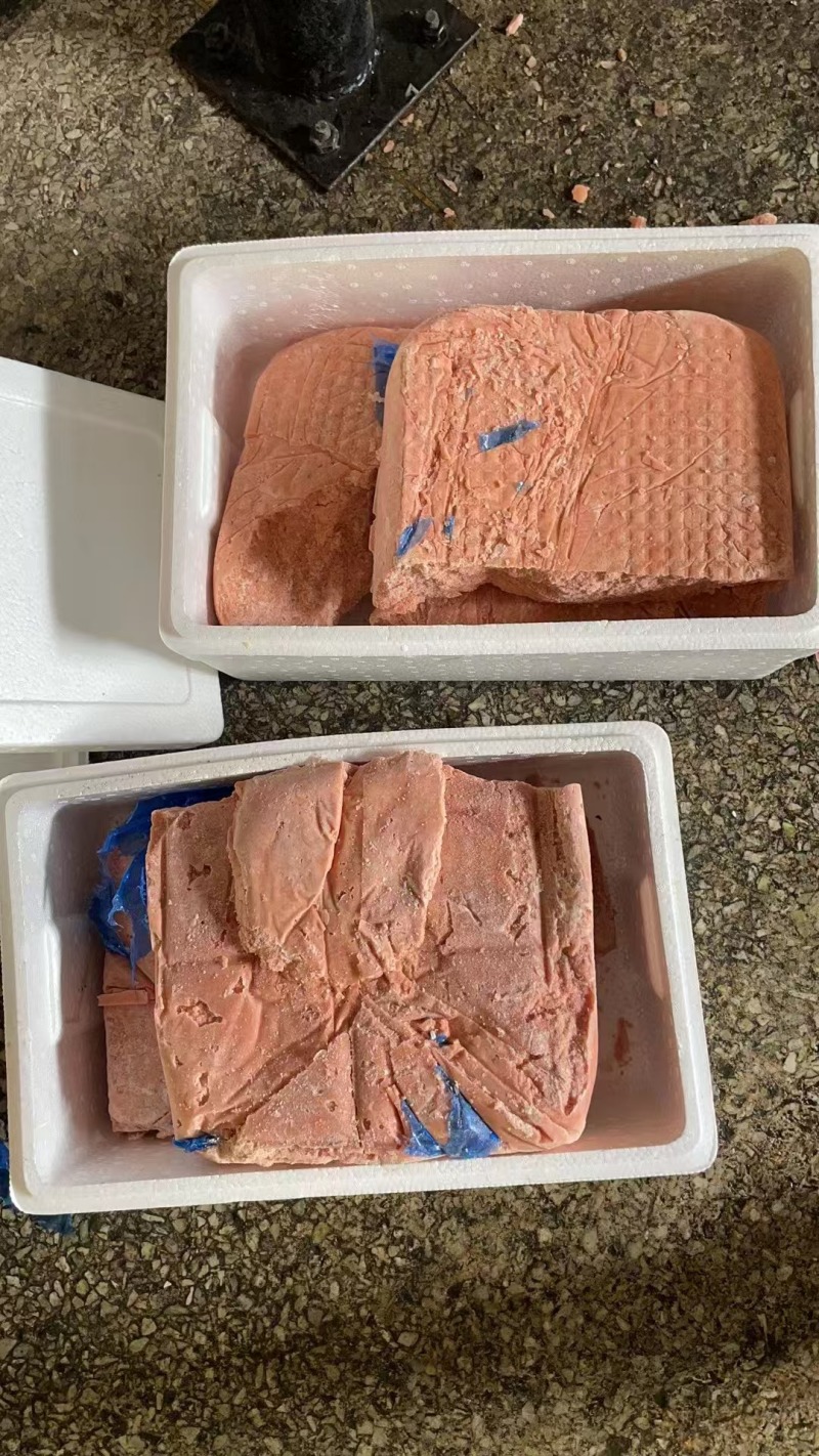 大西洋三文鱼鱼泥鱼糜鲑鱼宠物食品工厂直发