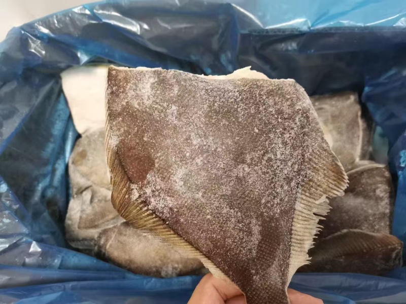 特价处理各类杂鱼各类边角料冷冻深海鱼类宠物食品饲料