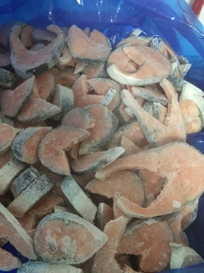 特价处理各类杂鱼各类边角料冷冻深海鱼类宠物食品饲料