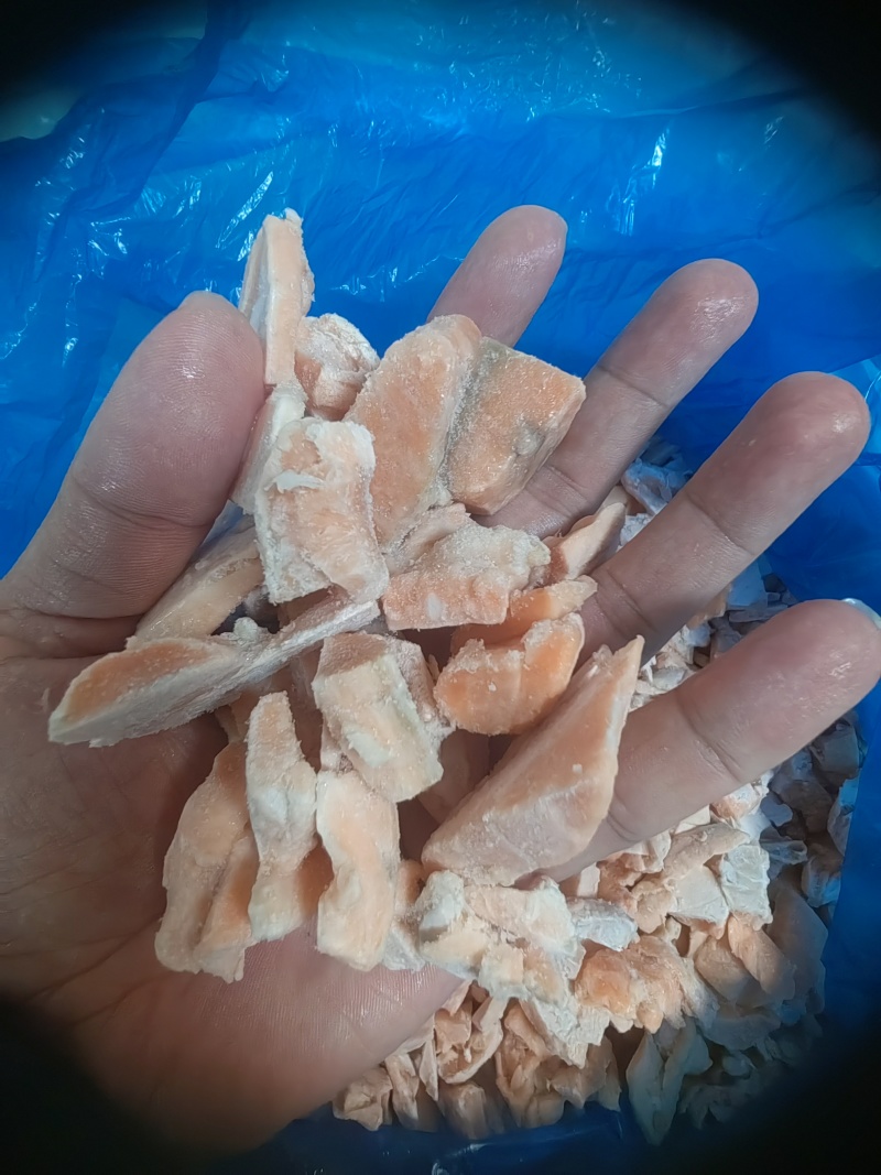 特价处理各类杂鱼各类边角料冷冻深海鱼类宠物食品饲料