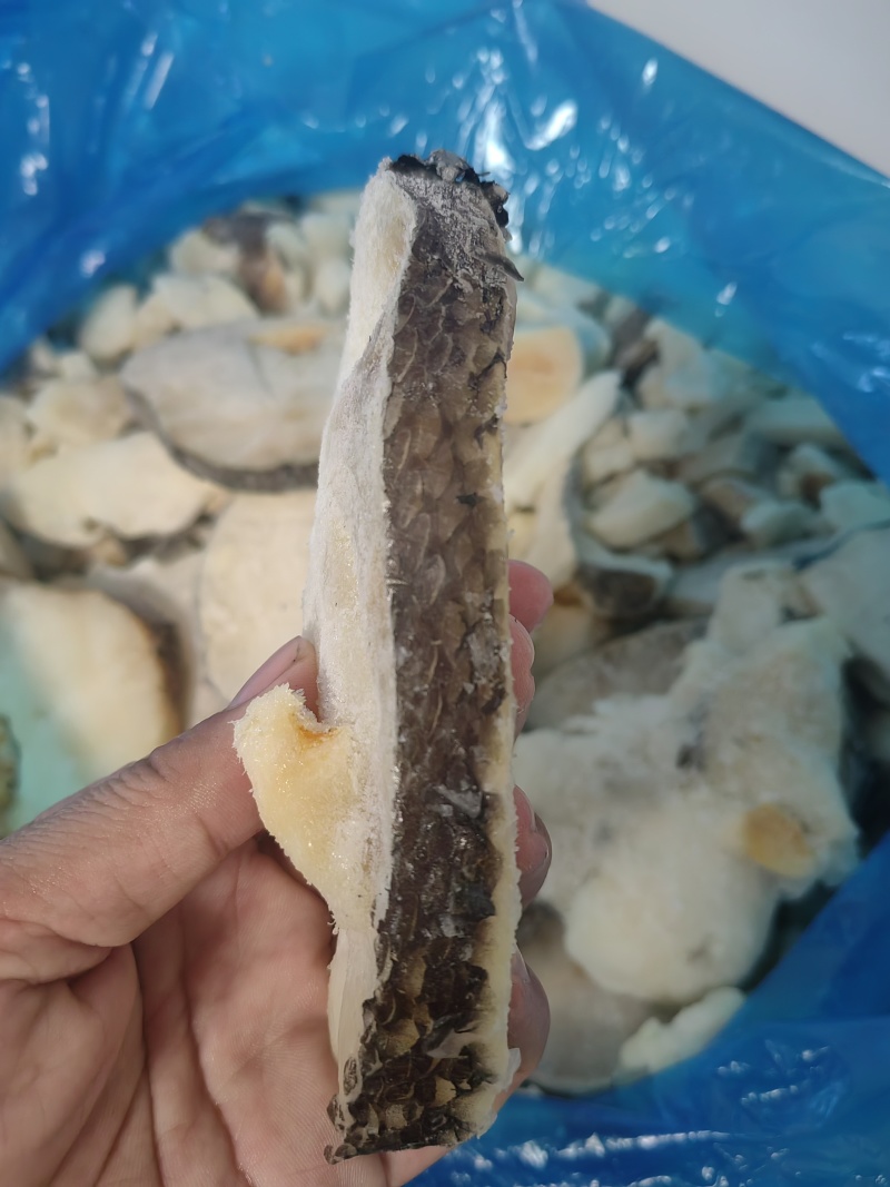 特价处理各类杂鱼各类边角料冷冻深海鱼类宠物食品饲料
