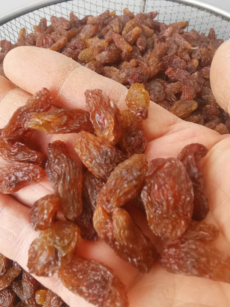 吐鲁番特产，马奶子葡萄干，果香核脆营养丰富