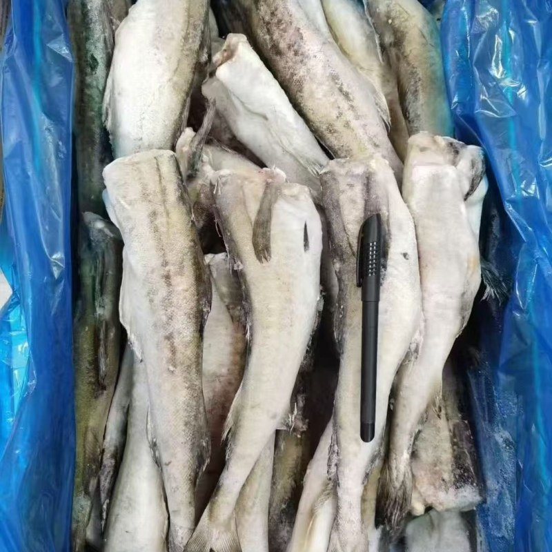 精品无头鳕鱼，新鲜明太鱼，冷冻去头去内脏整条供应，保质量