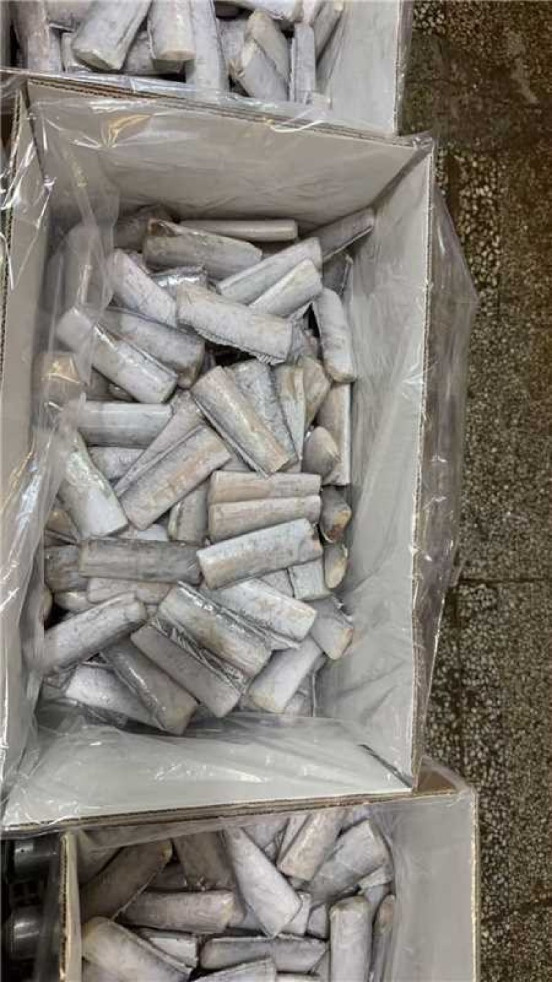 精品带鱼段，袋装箱装，规格齐品质保证全国冷链发货