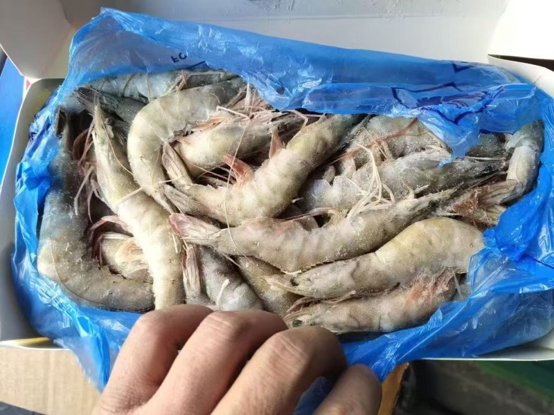 【精品】厄瓜多尔虾白虾，全规格，可对接市场各大餐饮供货