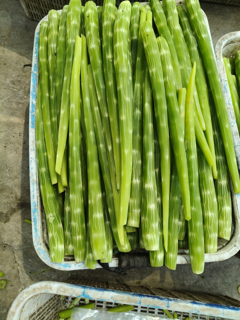 去皮莴笋肉工厂直发学校食堂餐饮配送常年供应
