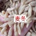 麦冬地摊电商批发麦冬大粒麦门冬手选中药材干货