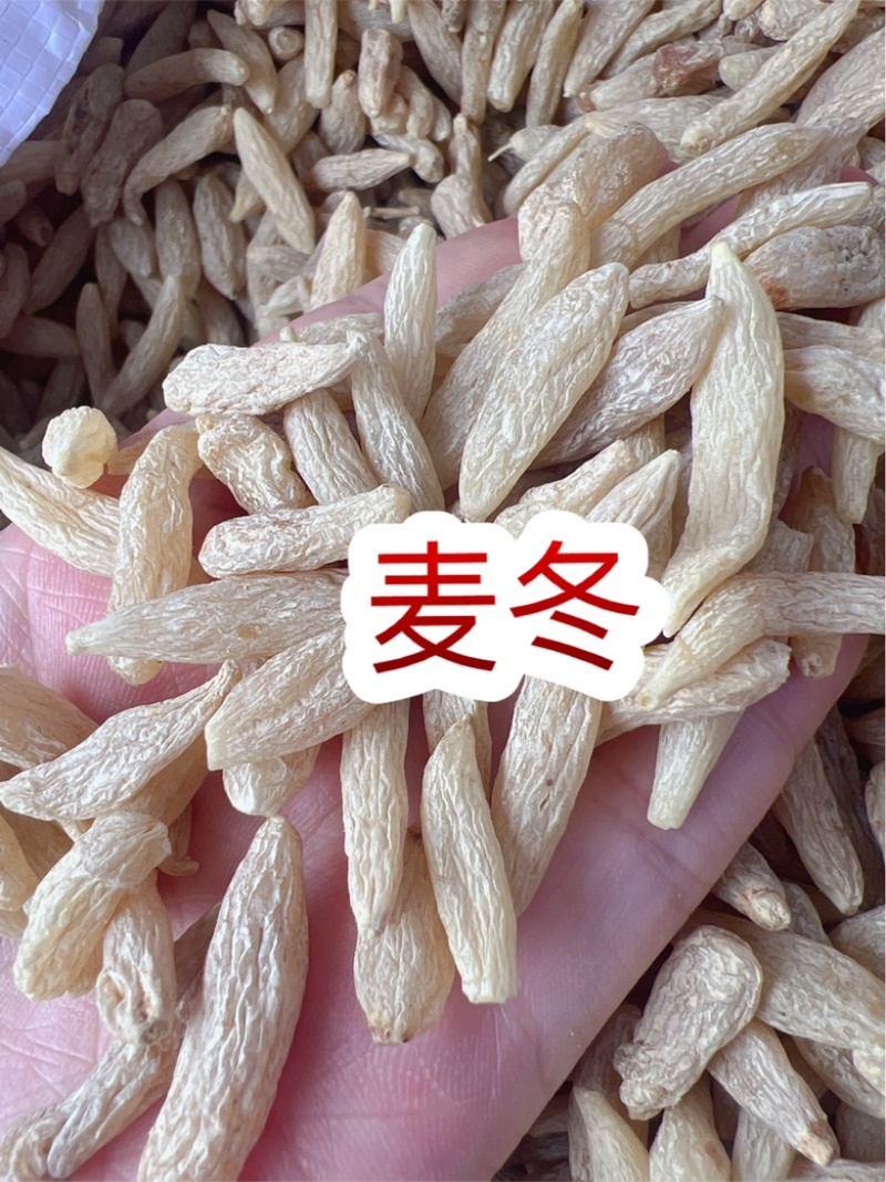 麦冬地摊电商批发麦冬大粒麦门冬手选中药材干货