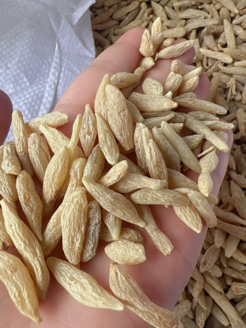 麦冬地摊电商批发麦冬大粒麦门冬手选中药材干货