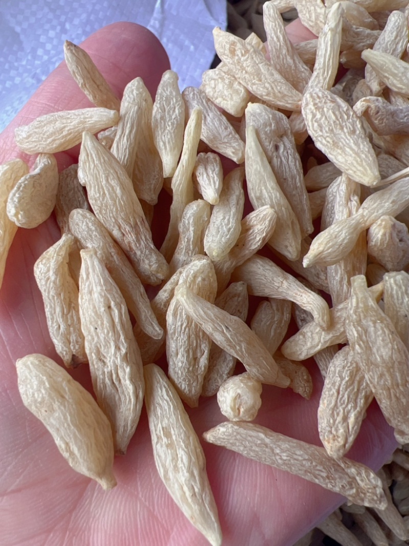 麦冬地摊电商批发麦冬大粒麦门冬手选中药材干货